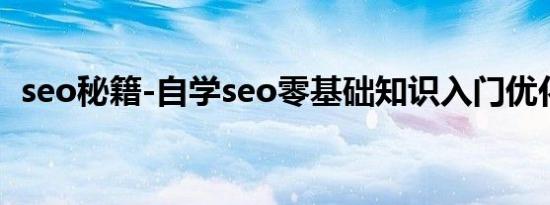 seo秘籍-自学seo零基础知识入门优化教程