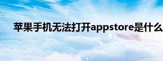 苹果手机无法打开appstore是什么原因