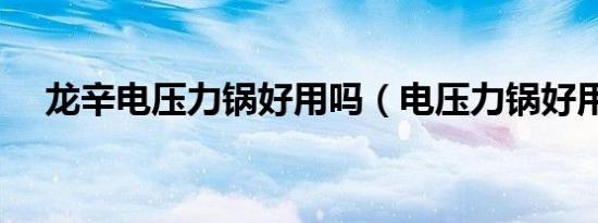 龙辛电压力锅好用吗（电压力锅好用吗）