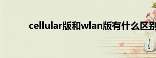 cellular版和wlan版有什么区别