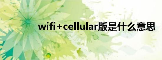 wifi+cellular版是什么意思