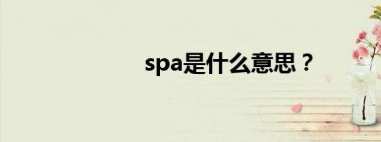 spa是什么意思？