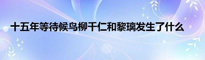 十五年等待候鸟柳千仁和黎璃发生了什么