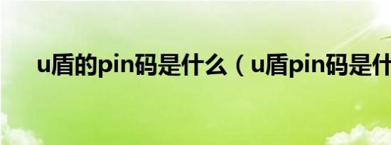 u盾的pin码是什么（u盾pin码是什么）