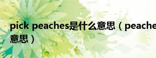 pick peaches是什么意思（peaches是什么意思）