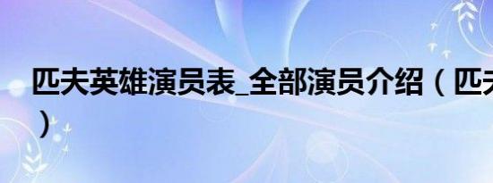 匹夫英雄演员表_全部演员介绍（匹夫演员表）