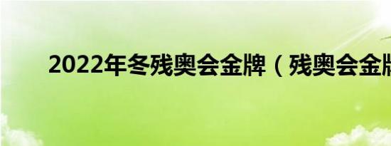 2022年冬残奥会金牌（残奥会金牌）