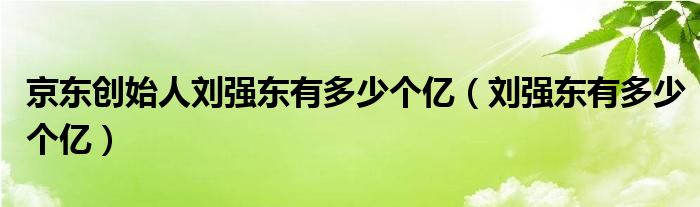 京东创始人刘强东有多少个亿（刘强东有多少个亿）