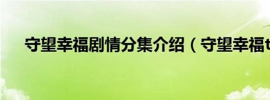 守望幸福剧情分集介绍（守望幸福txt）