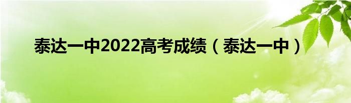 泰达一中2022高考成绩（泰达一中）