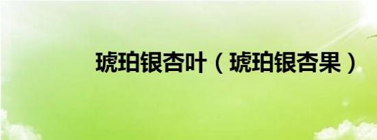 琥珀银杏叶（琥珀银杏果）