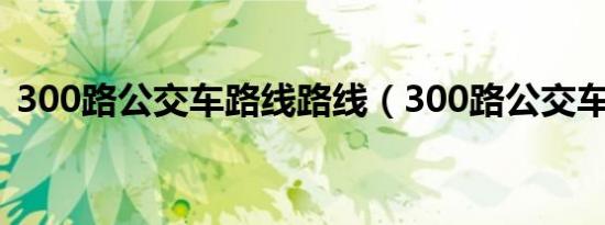 300路公交车路线路线（300路公交车路线）