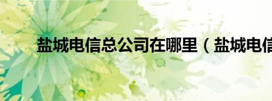 盐城电信总公司在哪里（盐城电信）