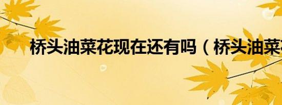 桥头油菜花现在还有吗（桥头油菜花）