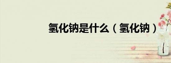 氢化钠是什么（氢化钠）