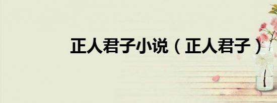 正人君子小说（正人君子）