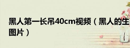 黑人第一长吊40cm视频（黑人的生器40cm图片）