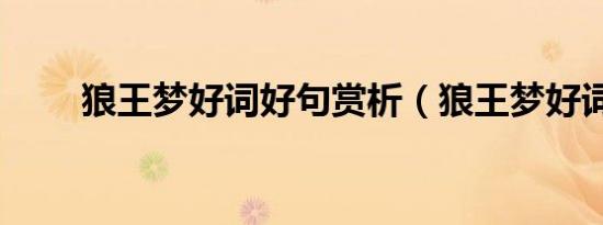 狼王梦好词好句赏析（狼王梦好词）