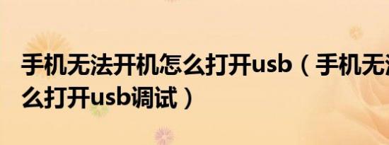手机无法开机怎么打开usb（手机无法开机怎么打开usb调试）