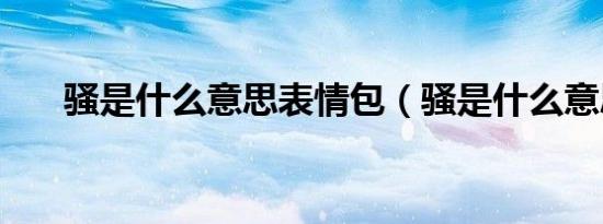 骚是什么意思表情包（骚是什么意思）