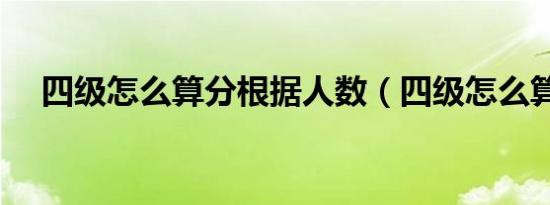 四级怎么算分根据人数（四级怎么算分）