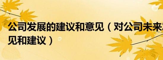 公司发展的建议和意见（对公司未来发展的意见和建议）