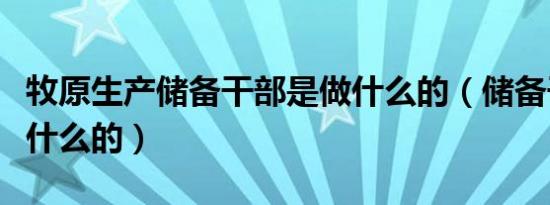 牧原生产储备干部是做什么的（储备干部是做什么的）