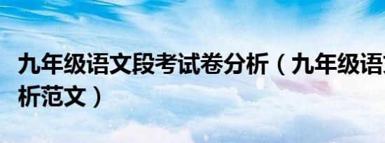 九年级语文段考试卷分析（九年级语文试卷分析范文）