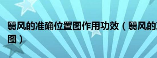 翳风的准确位置图作用功效（翳风的准确位置图）