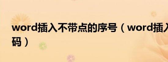word插入不带点的序号（word插入不了页码）