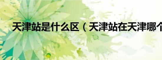 天津站是什么区（天津站在天津哪个区）
