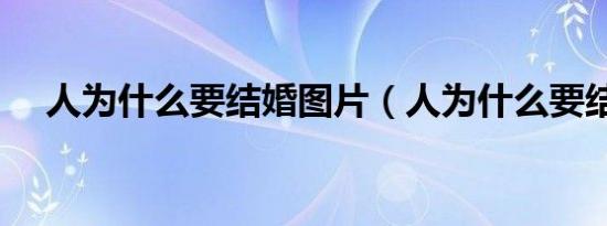 人为什么要结婚图片（人为什么要结婚）