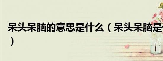 呆头呆脑的意思是什么（呆头呆脑是什么意思）
