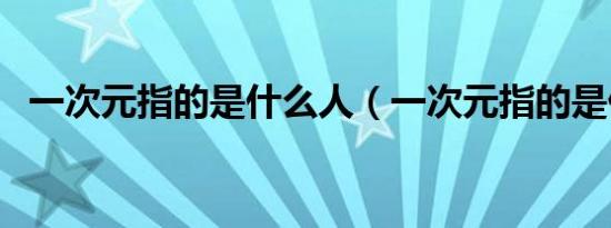一次元指的是什么人（一次元指的是什么）