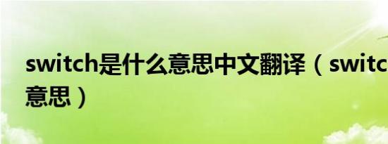 switch是什么意思中文翻译（switch是什么意思）