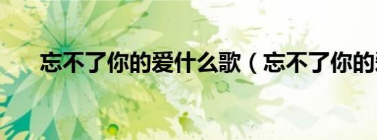 忘不了你的爱什么歌（忘不了你的爱）