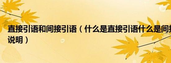直接引语和间接引语（什么是直接引语什么是间接引语举例说明）
