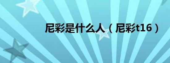 尼彩是什么人（尼彩t16）