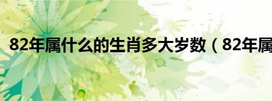 82年属什么的生肖多大岁数（82年属什么）