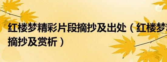 红楼梦精彩片段摘抄及出处（红楼梦精彩片段摘抄及赏析）