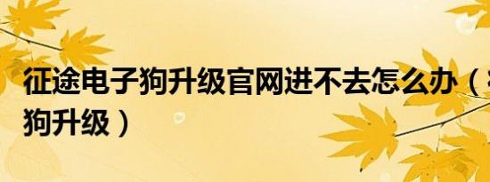 征途电子狗升级官网进不去怎么办（征途电子狗升级）