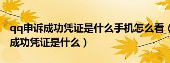 qq申诉成功凭证是什么手机怎么看（qq申诉成功凭证是什么）