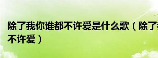 除了我你谁都不许爱是什么歌（除了我你谁都不许爱）