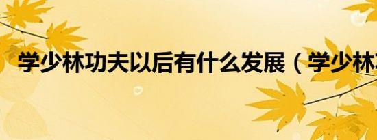 学少林功夫以后有什么发展（学少林功夫）