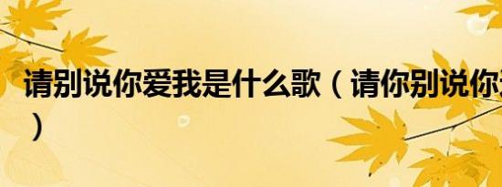 请别说你爱我是什么歌（请你别说你还爱着我）
