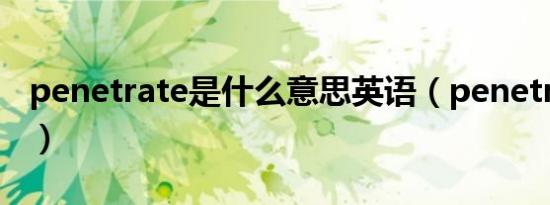 penetrate是什么意思英语（penetrate pro）