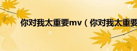 你对我太重要mv（你对我太重要）