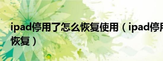 ipad停用了怎么恢复使用（ipad停用了怎么恢复）