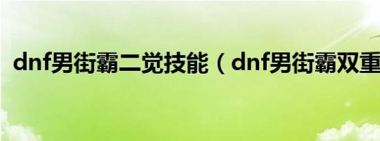 dnf男街霸二觉技能（dnf男街霸双重投掷）