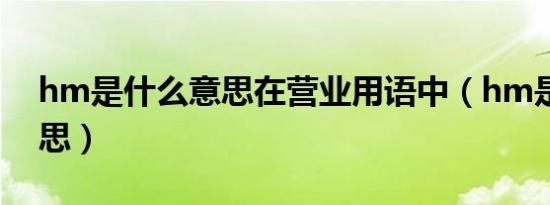 hm是什么意思在营业用语中（hm是什么意思）